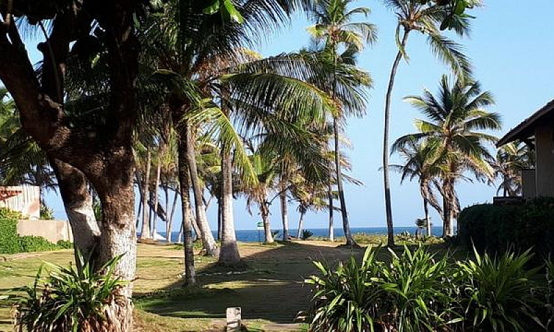 Réveillon Praia Do F...