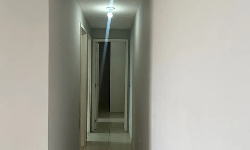Flex Tapajós / 02 Qu...