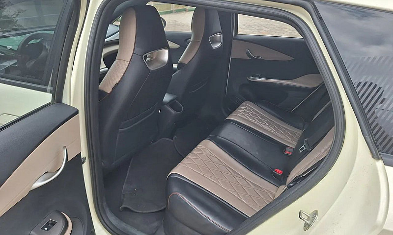 Byd Dolphin Ev (Elét...