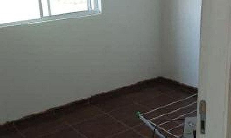 Apartamento No Campo...