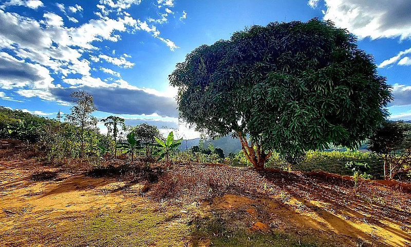 Sítio Com Casa Em Do...