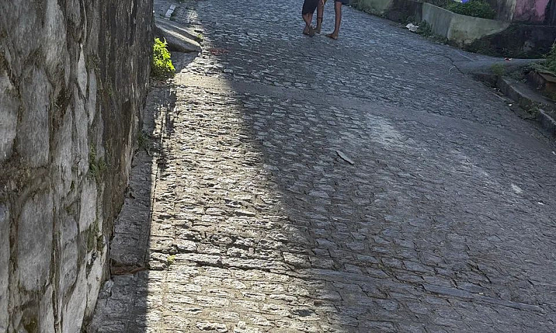 Casa Grande Em Jardi...