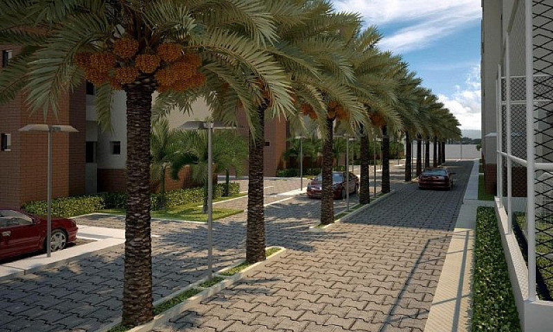 Condominio, Novo Ani...