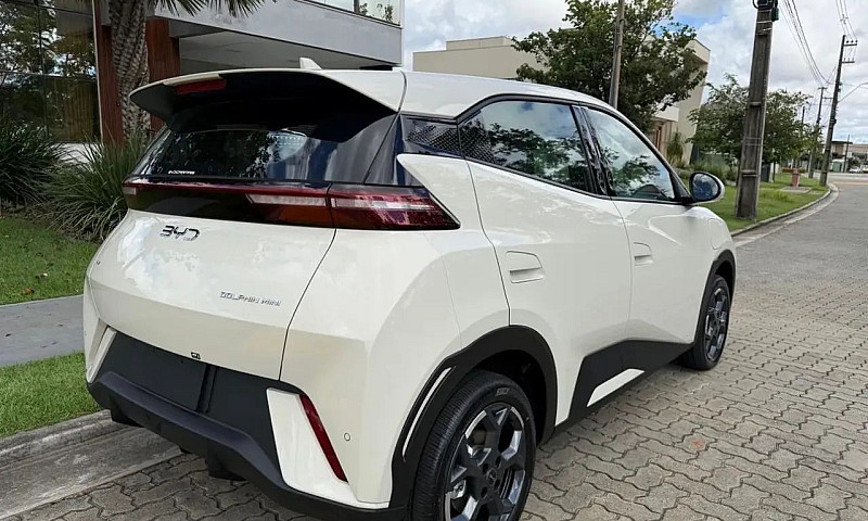 Byd Dolphin Mini (El...