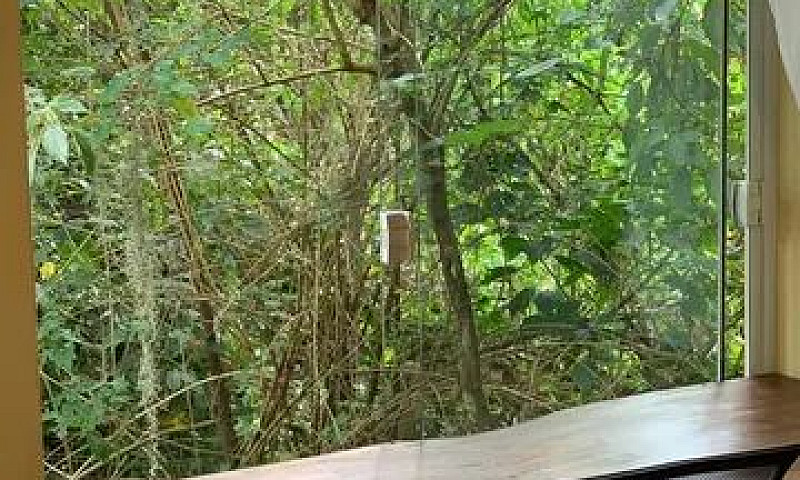 Casa 3 Quartos Em Co...