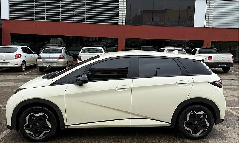 Byd Dolphin Ev (Elét...