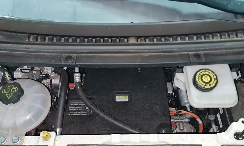 Byd Dolphin Ev (Elét...