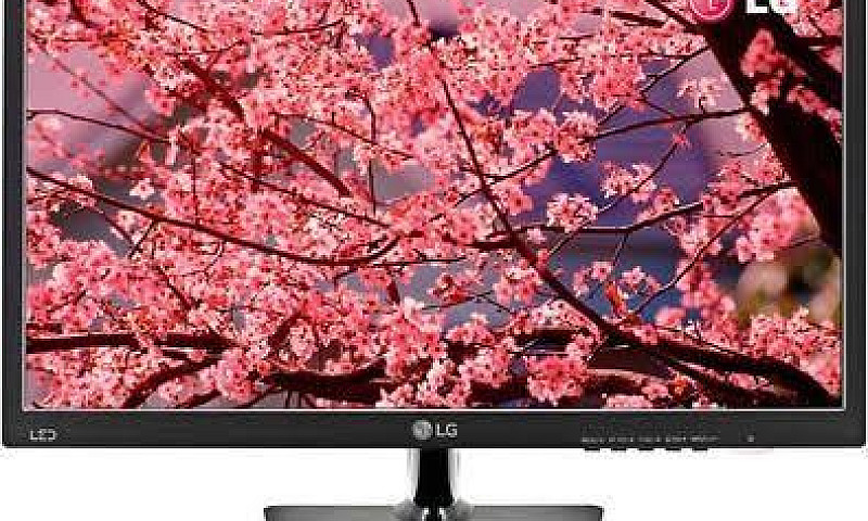 Monitor Lg 19.5 20M3...