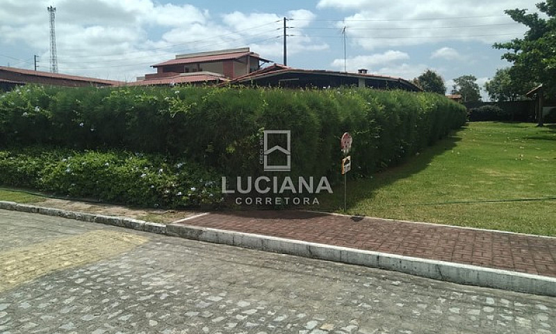 Casa Para Alugar Em ...