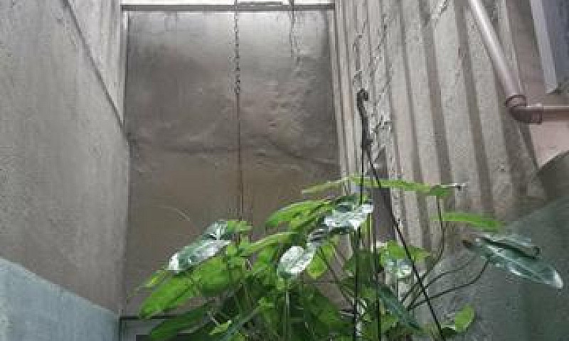 Alugo Ou Vendo Casa ...