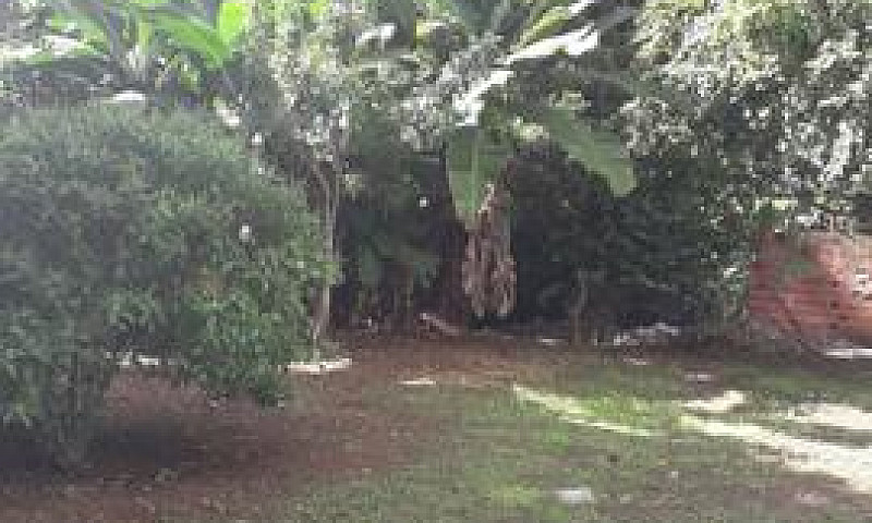 Apartamento 02 Quart...