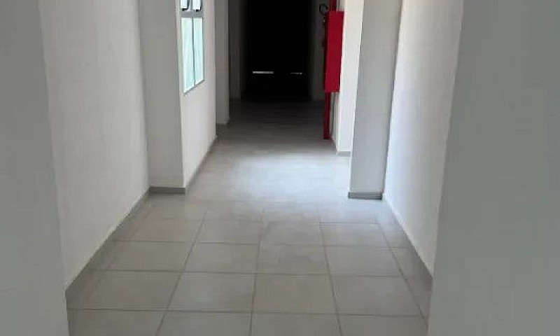 Apartamento No Jardi...