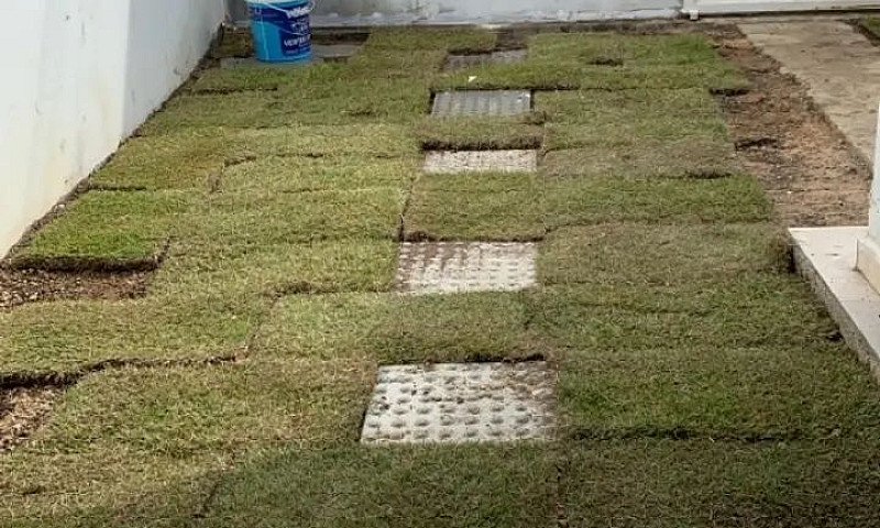Casa No Bairro Colin...