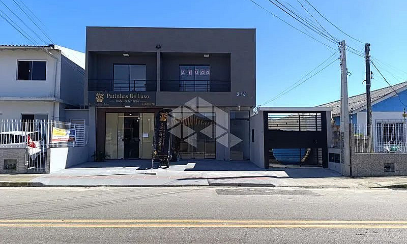 Apartamento 31M² - P...