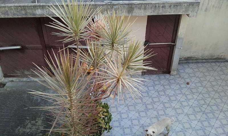 Baixou, Casa 4/4 Suí...