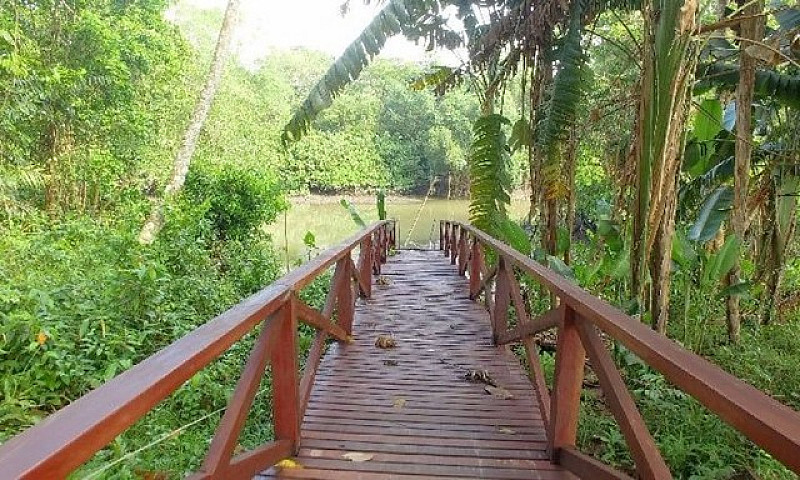 Alugo Linda Casa No ...