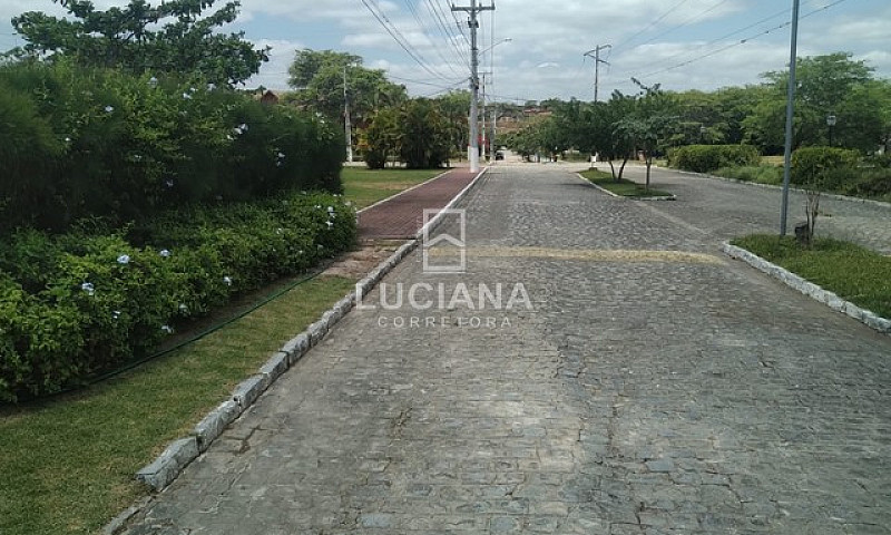 Casa Para Alugar Em ...