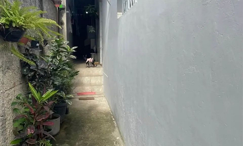 Casa A Venda Em São ...