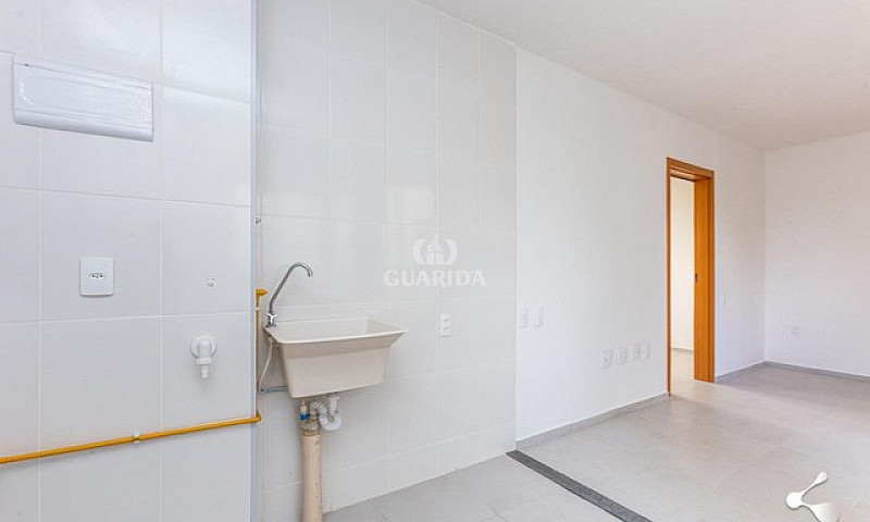 Apartamento Novo De ...