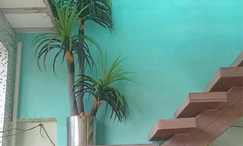 Casa Mosqueiro - Alu...