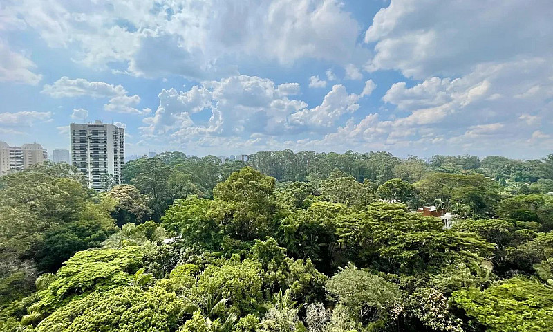 Apartamento Santo Am...