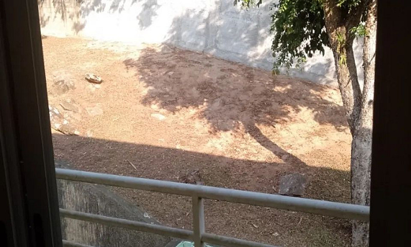 Casa Em Condomínio E...