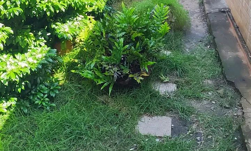 Imóvel Para Venda Te...