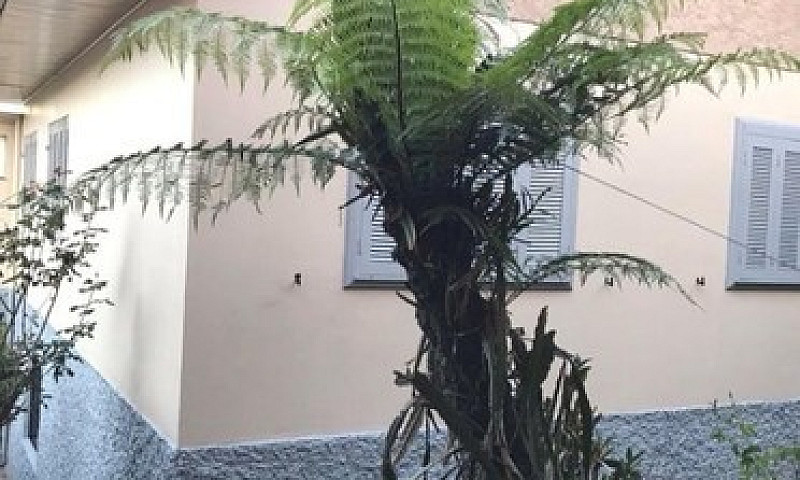 Sobrado 3 Dorm, Deso...