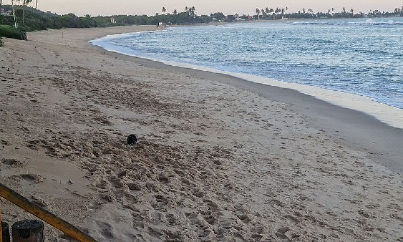 8 Maravilha, Pe Na Á...