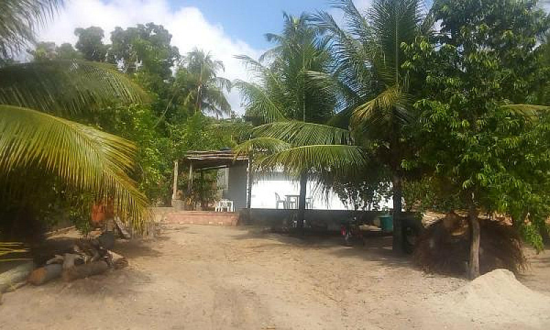Casa À Venda Em Port...