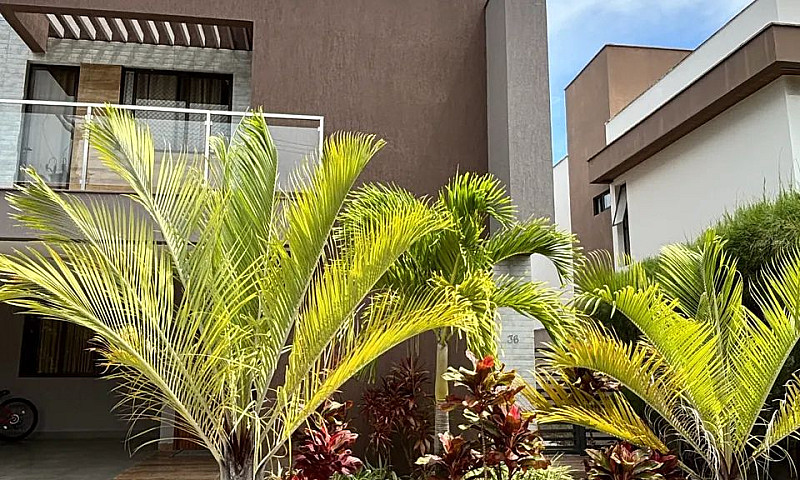 Casa Alto Padrão Int...