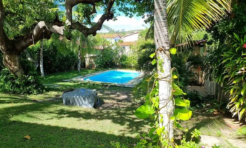 Aluguel Casa Barro P...