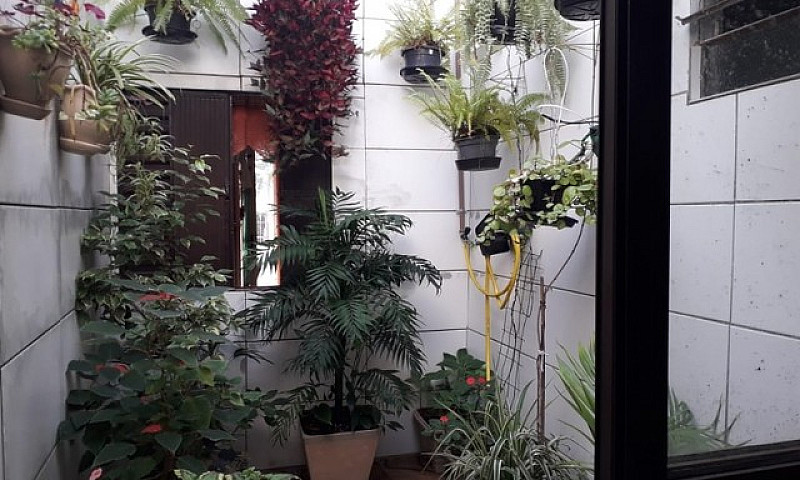 Canoas - Casa Padrão...