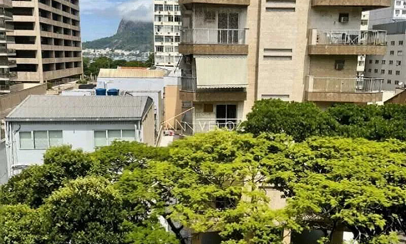 Apartamento : Padrão...