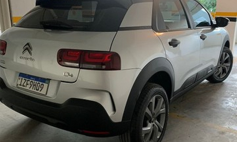 C4 Cactus Manual - 2...