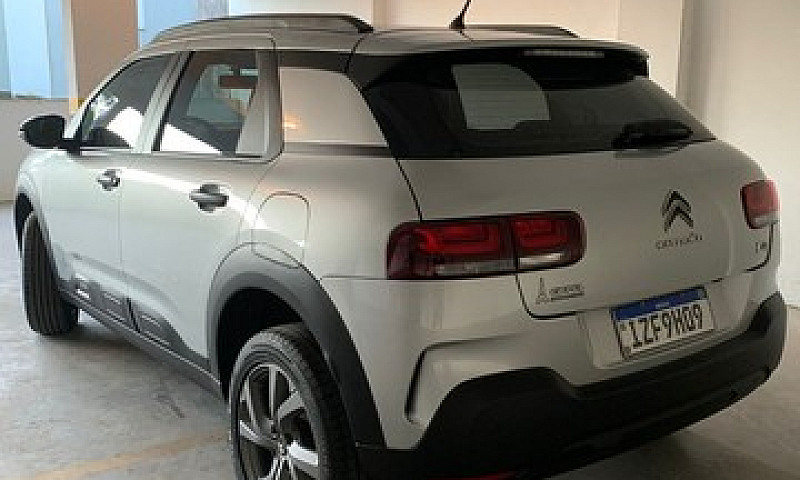 C4 Cactus Manual - 2...