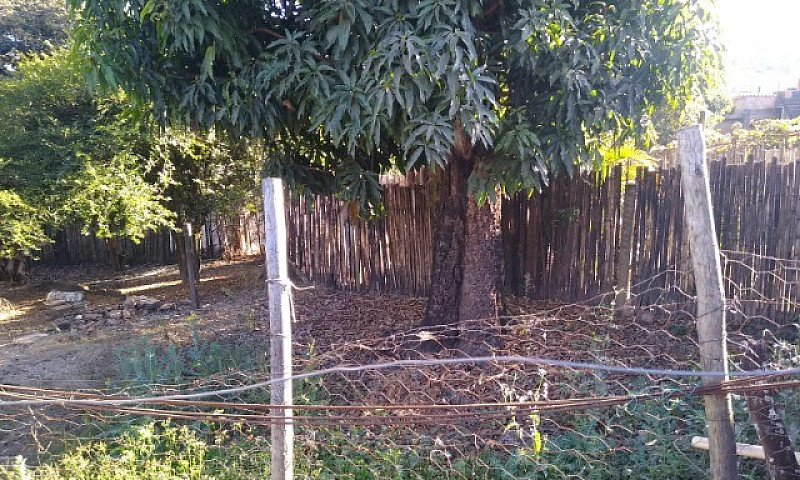 Casa No Citrolandia ...
