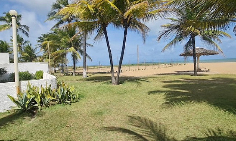 Férias À Beira Mar P...