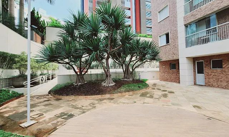 Lindo Apartamento Co...