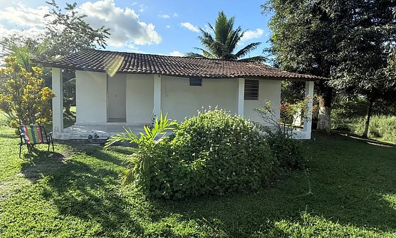 Alugo Casa Em Sítio ...