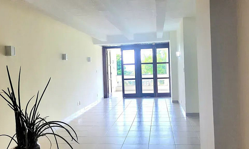 Apartamento Para Alu...