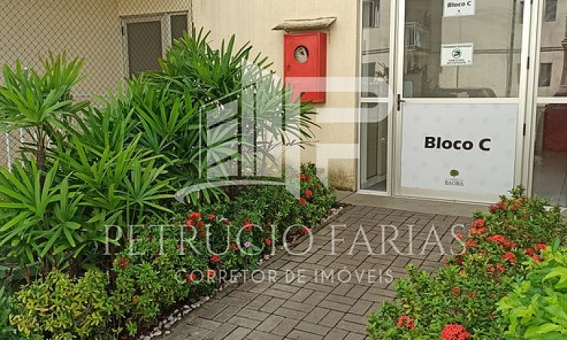 Apartamento Para Alu...