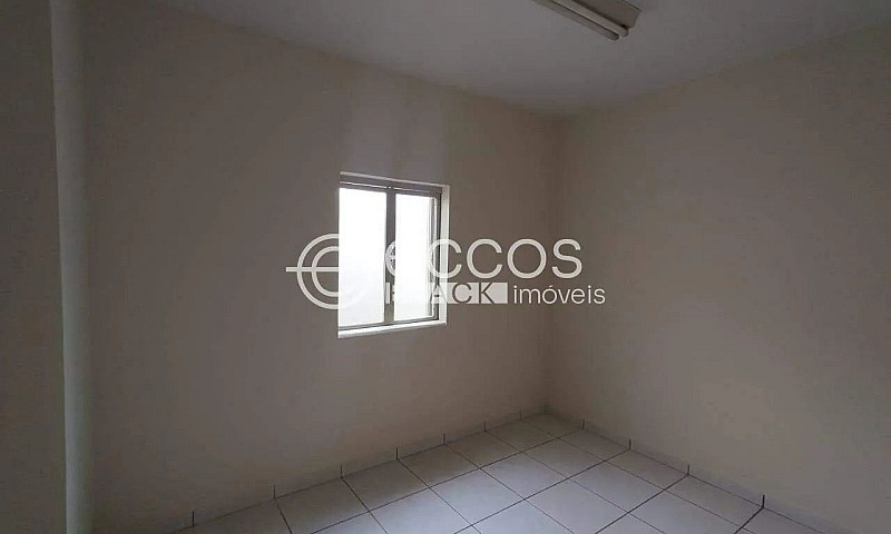 Casa Para Aluguel, 3...