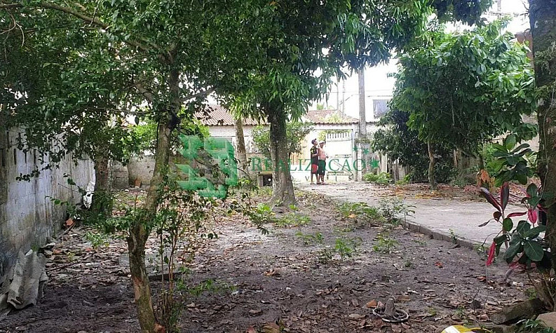 Casa Com Terrenão To...