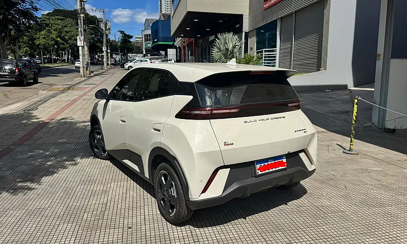 Byd Dolphin Mini (El...