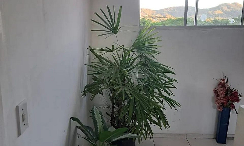 Vendo Apartamento No...