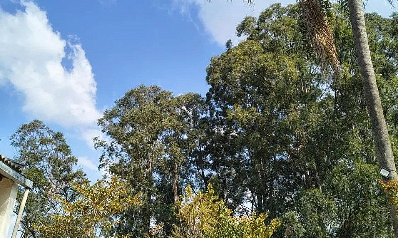 Rr8768 Casa 500M² Re...