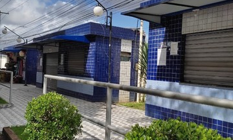 Aluguel Apartamento ...