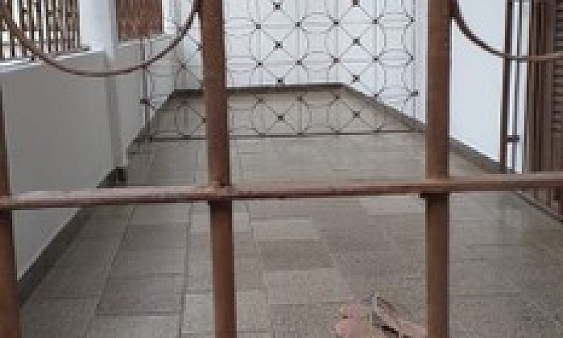 Casa 3 Quartos, Vara...