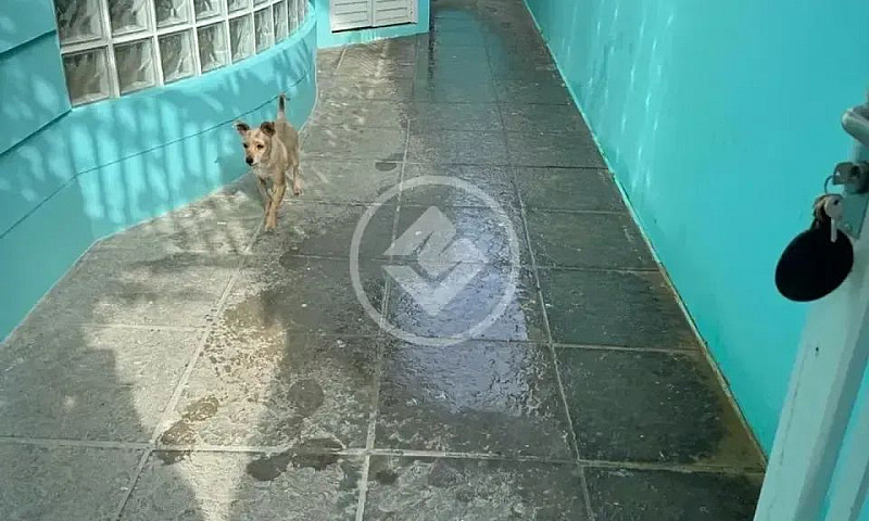 Imóvel Para Venda Te...